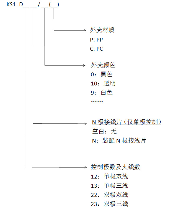 ks1中.jpg